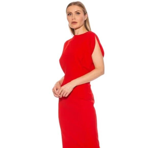 Alexia Admor Gianna Draped off Boatneck Dress in Red, Size L - Picture 10 of 10